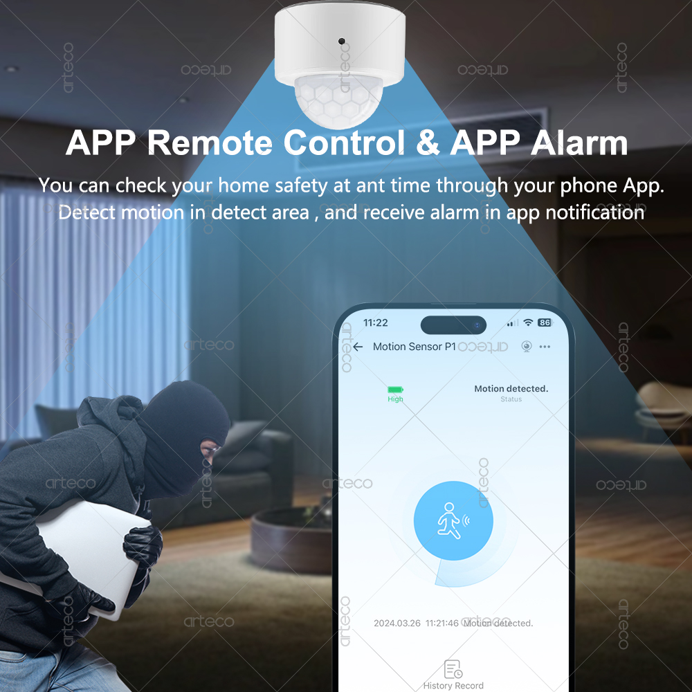 Ewelink Zigbee PIR 모션 센서 인체 운동 - Pir Motion Sensor 리뷰 및 가격